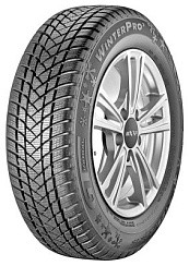 Фото Шина *17 215/55R17 GTRadial WinterPro 2  XL 98V