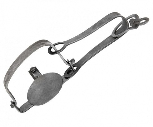 Фото Капкан №1 (норка, куница, соболь)