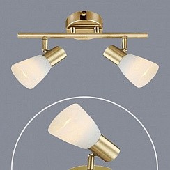 фото Спот ST13-2 FG золото 2x40W E14 GJRS17