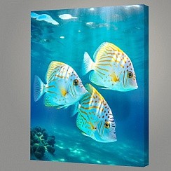 фото Картина на холсте (канвас) "KH1301"40х50 см