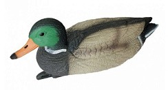 Фото Чучело кряквы плавающей (селезень)