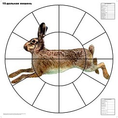 Фото Мишень 16-дольная Русак