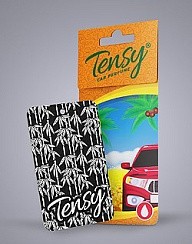 Фото Ароматизатор на зеркало TENSY  TА-12 New Car/Новая Машина (картон)