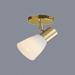 фото Спот ST13-1 FG золото 1x40W E14 GJRS17