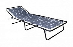 Фото Кровать раскладная Стефания/Селена жесткая  (1920*660*300) цвет в ассортименте