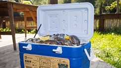 Фото Контейнер изотермический 40 л Арктика 2000-40 синий