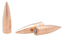 Фото Пуля 7,62х54 FMJ 9,6 томпак (НПЗ) (№Л05) 2022 г.