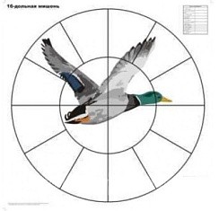 Фото Мишень 16-дольная Селезень