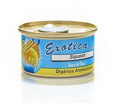 Фото Ароматизатор на панель Exotica ESC24-SQU Сквош (органический)