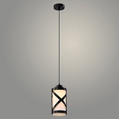 фото Подвес 20568/1HQ BK+FR черный 1х40W E27 h900, WAN23