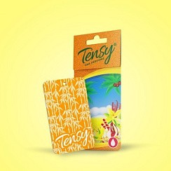Фото Ароматизатор на зеркало TENSY  TА-09 Vanilla/Ваниль (картон)