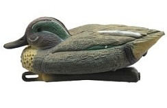 Фото Чучело чирка плавающего (селезень)