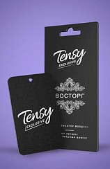 Фото Ароматизатор на зеркало TENSY TА-21 Восторг (картон)