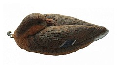 Фото Чучело кряквы спящей (утка)