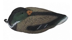 Фото Чучело кряквы спящей (селезень)